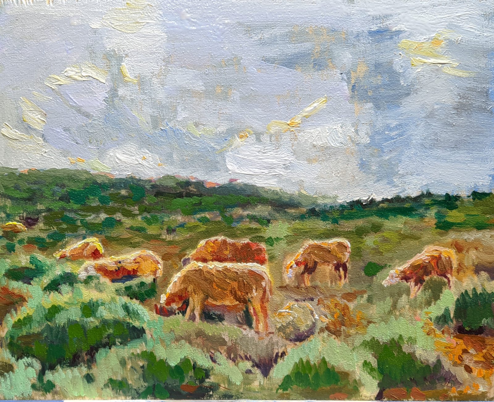 Paysage aux moutons